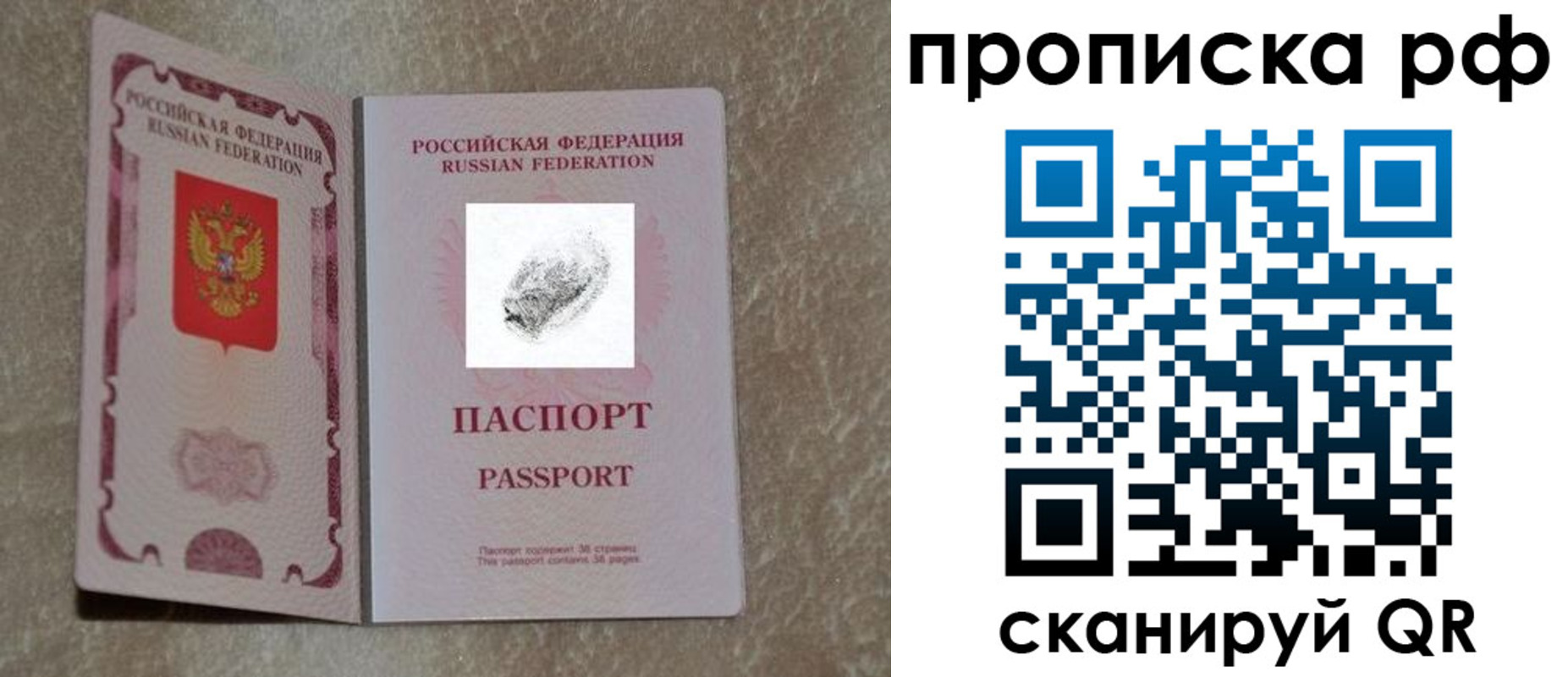 прописка поиск в Кандалакше